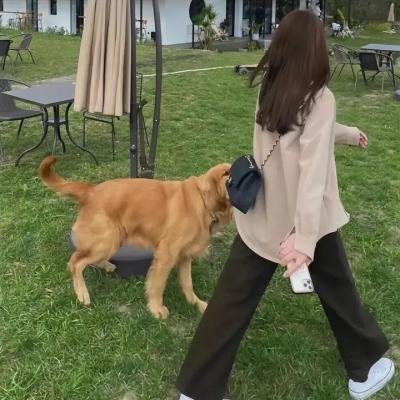 魑魅魍魉